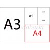 El İlanı A4